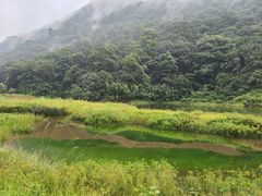 -广州市石门国家森林公园