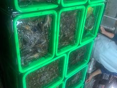 -都斛海鲜街