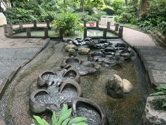 -成都市活水公园