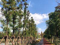 -上海长兴岛郊野公园