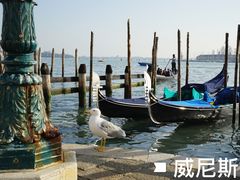 -圣马可广场