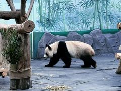 -秦皇岛野生动物园