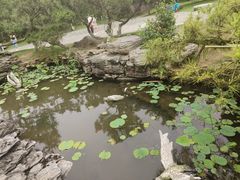 -重庆园博园