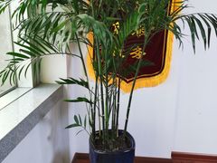 -君申律师事务所