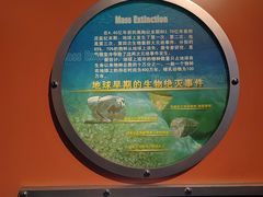 -河南自然博物馆