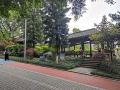 -龙头寺公园