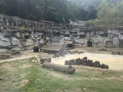 -黔灵山公园