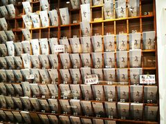 -猫的天空之城概念书店(束河店)