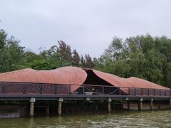-东寨港红树林旅游区