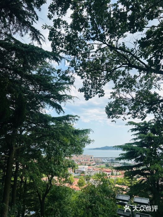 信号山公园图片