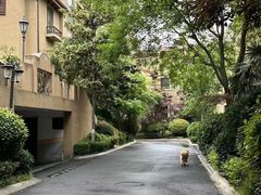 -红河谷晴天别墅轰趴馆