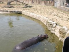 -杭州野生动物世界