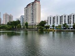 -四海公园(南山区)