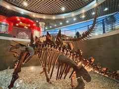 -国家自然博物馆