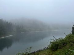 -武陵山森林公园