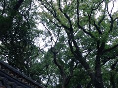 -法雨寺餐厅
