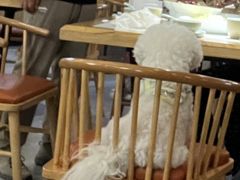 -王妈热卤·川味馆(海昌店)