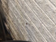 -拾下卜卜贝•海鲜火锅