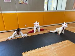 -小小特工运动馆(宝山三邻桥中心)