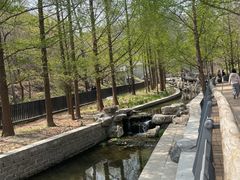 -白水寺森林公园