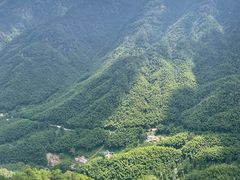 -九华山风景区-东崖禅寺