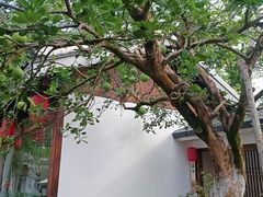 -凤凰山斑鱼馆(恭城店)