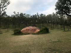 -牛岗山公园