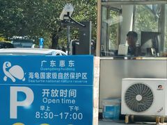 -广东惠东海龟国家级自然保护区