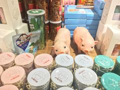 -黄胜记鼓浪屿肉松店(龙头路店)