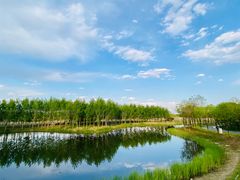 -东郊湿地公园