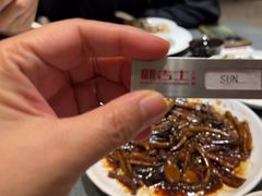 -新吉士·上海菜(浦东LCM置汇旭辉店)