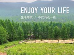 -莫尔道嘎国家森林公园