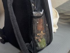 -半岛宠物医院24小时(白果林店)