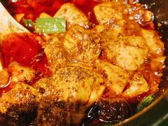 -陈麻婆豆腐总店