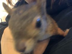 -MOJO密室逃脱(中街旗舰店)