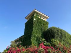 -府河摄影公园