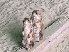 -杭州野生动物世界
