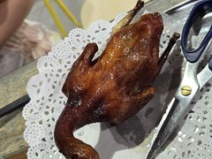 -石岐乳鸽村(南海第三分店)