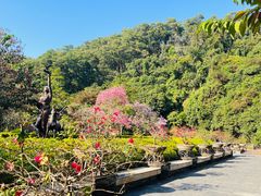 -大屏嶂森林公园