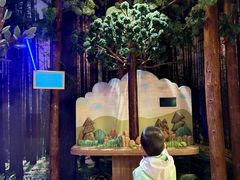 -黄海国家森林公园