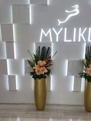 点击看大图 -深圳美莱医疗美容医院