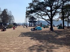 -东湖落雁景区