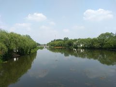 -溱湖国家湿地公园