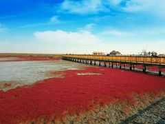 -红海滩国家风景廊道