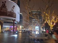 -上海波特曼丽思卡尔顿酒店