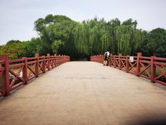 -大兴滨河森林公园