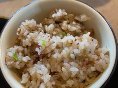 -蘑统田下·野生菌火锅