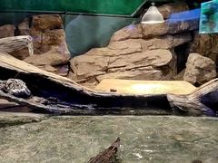 -重庆欢乐海底世界