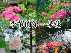 -大妙火锅·非物质文化遗产(东湖公园店)