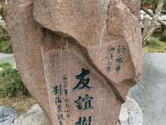 -趵突泉景区